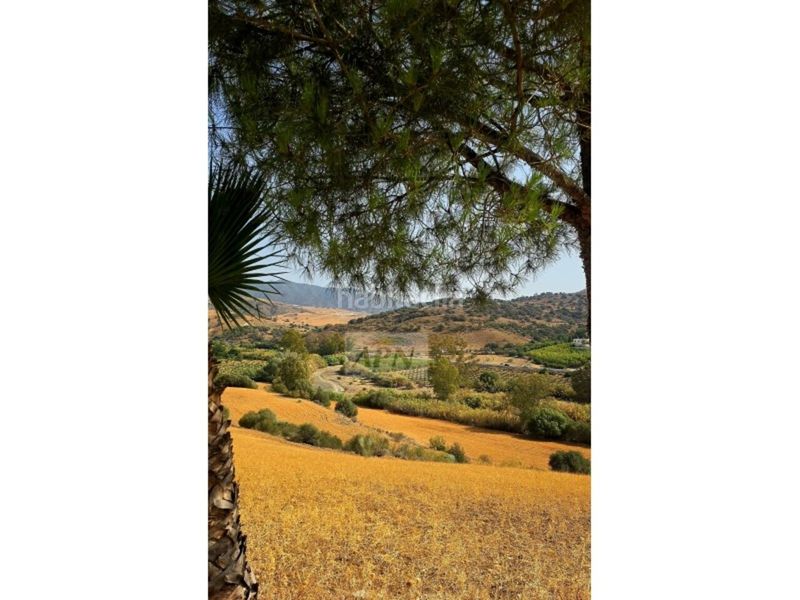 Foto 62773d13-8733-4872-8135-c204dd502af1. Masia a Álora