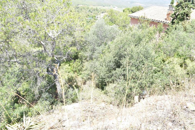 Foto 2ef26a93-77ed-4fae-8ed3-57d1c1d91923. Terreno residencial en carrer llibertat parcela urbana en la bisbal del penedes en Bisbal del Penedès (La)