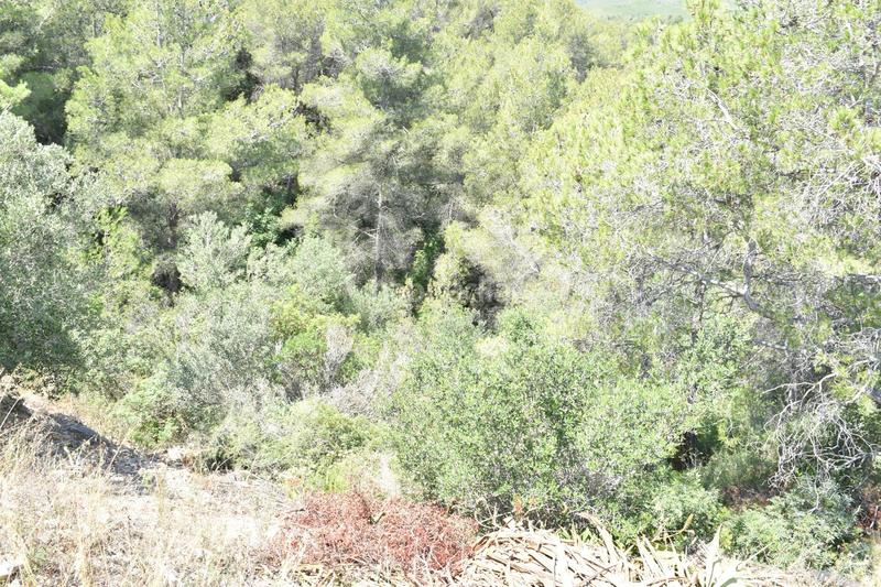 Foto 8da2ac8c-7f1a-4526-b9ca-75a19033077a. Terreno residencial en carrer llibertat parcela urbana en la bisbal del penedes en Bisbal del Penedès (La)