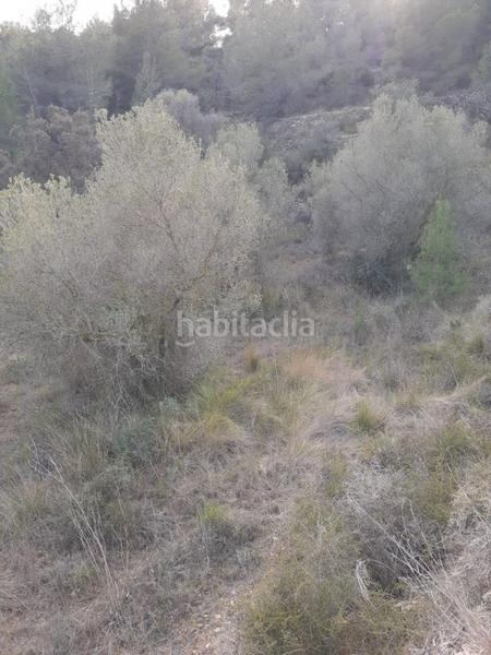 Foto e96db871-932d-4c19-956d-6c092fd11c7e. Finca rústica terreno rural en salomo zona , 12660 m en Salomó