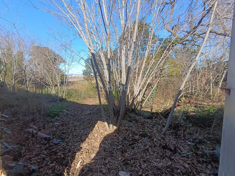 Foto b102720f-17ba-42b3-a954-816965f11b94. Wohngrundstück in Masllorenç