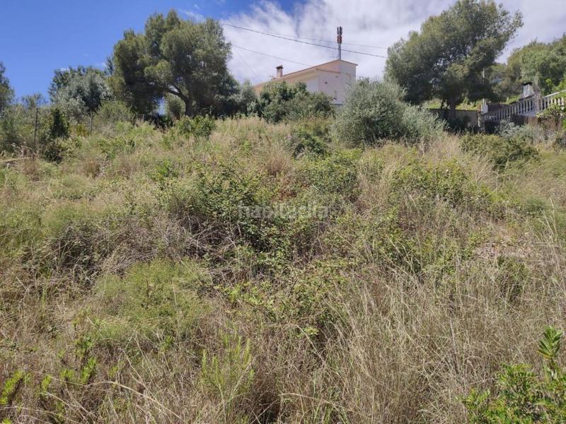 Foto 1c379bd4-de76-44f7-ae73-f23ad82bed67. Finca rústica a Mas Trader-Corral d´En Tort-Corral d´En Cona Cubelles