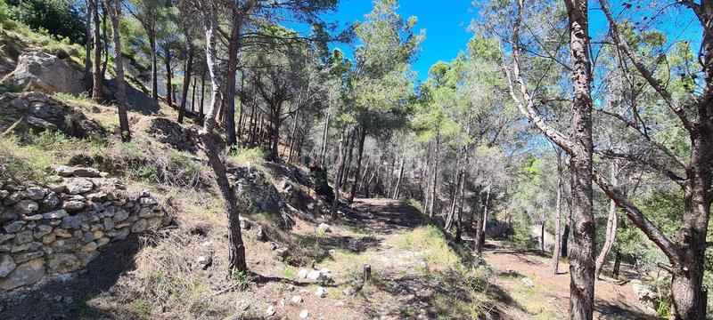 Foto 4a8f6071-9f8b-419d-b1a5-794ececf3c69. Residential plot in Oltamar - Cucarres Calp