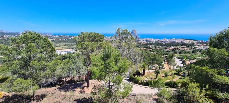 Foto 58d667f9-6b25-473a-ad1d-9234dbcb6759. Residential plot in Oltamar - Cucarres Calp