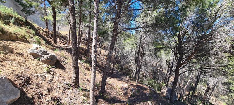 Foto efe104a6-d447-4f52-b896-504b7e53075b. Residential plot in Oltamar - Cucarres Calp