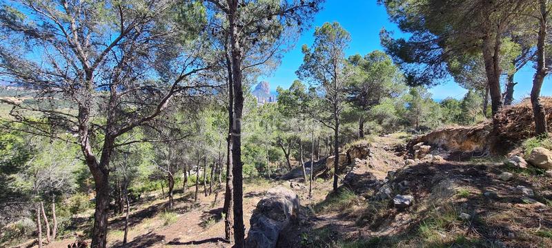 Foto f77860c3-1741-4478-b7ab-3011a1bb2156. Residential plot in Oltamar - Cucarres Calp