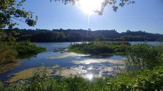 Edifici a Móra la Nova