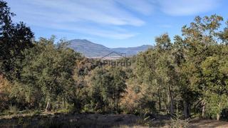Terreno residenziale in Bescanó