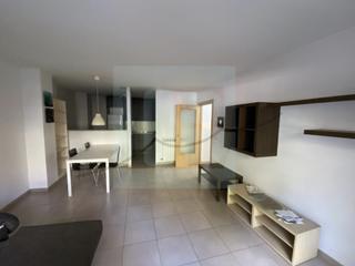 Pis  Camí ral. Amplia y luminosa vivienda en santa coloma  con parking opcional