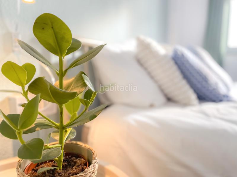 Foto 0e02ac6a-3ad0-4168-96e2-10d4a3f673fa. Location attique avec chauffage dans El Botànic Valencia