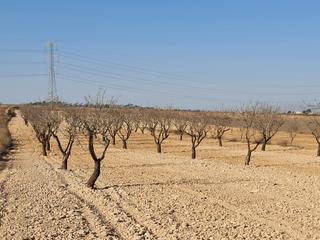 Terreno residenziale in N/a