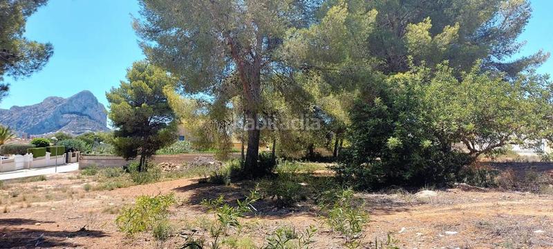 Foto 2a9aac84-80ab-48ab-85ac-356b0a8464cb. Residential plot in n/a in Carrió - La Merced - Los Pinos Calp