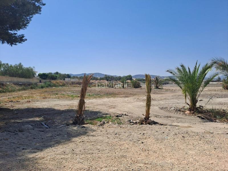 Foto a21c091d-735f-47b4-9052-e83ba3ed59c5. Bauernhof in n/a in Desamparados - Hurchillo - Torremendo Orihuela