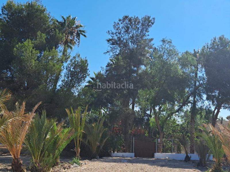 Foto 421a2264-bb7b-4032-85d5-277e9b99020e. Country house in n/a in Desamparados - Hurchillo - Torremendo Orihuela