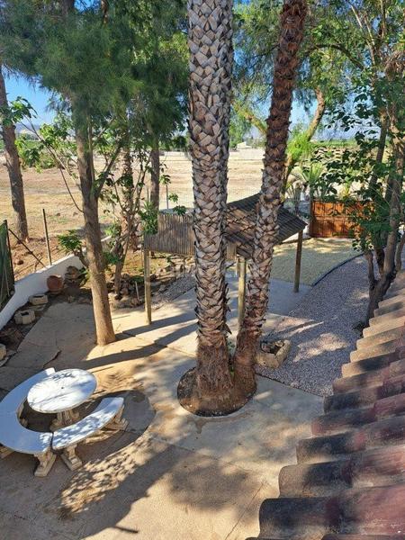 Foto 5a3cc8a7-c1fb-46b8-8ac0-464ed74e1021. Country house in n/a in Desamparados - Hurchillo - Torremendo Orihuela
