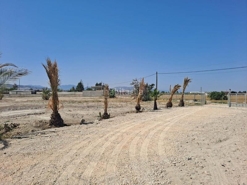 Foto 3b942fd6-7eec-47f6-b2dc-0f467a524183. Masia a n/a a Desamparados - Hurchillo - Torremendo Orihuela