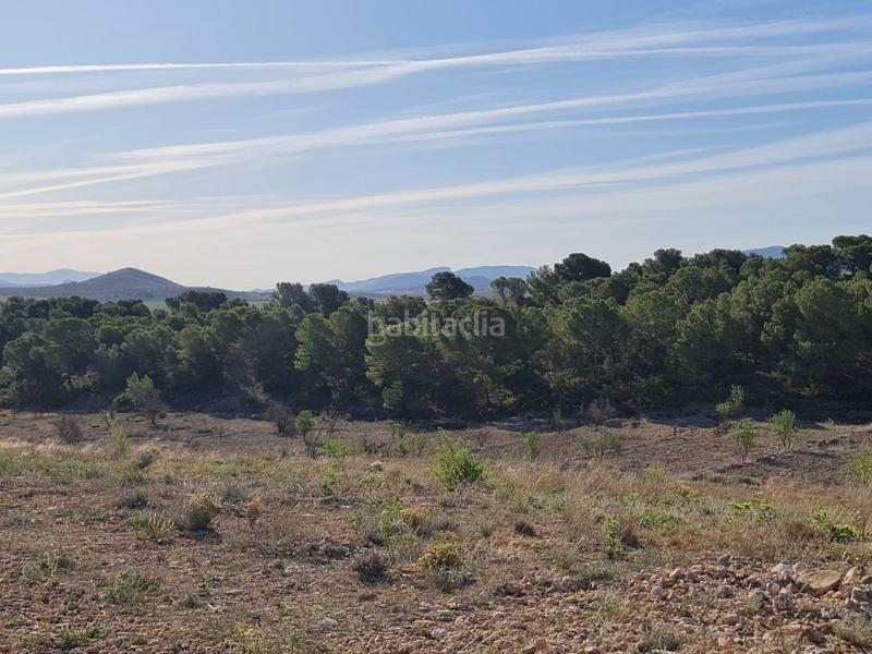 Foto ce81d5b6-70a6-4be8-b8a0-7863576e3232. Terreny residencial a n/a a Yecla