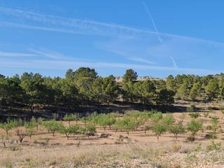 Residential Plot in N/a