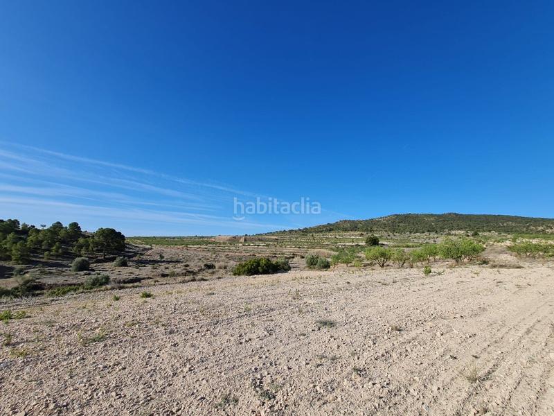 Foto b25541cd-3dc3-4902-8d15-dcb1a73bec22. Terreno residencial en n/a en Yecla