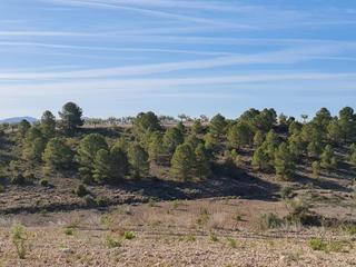 Residential Plot in N/a