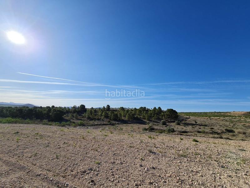 Foto fcbdb38f-ebba-4039-a231-5490090cad6d. Terreno residenziale in n/a in Yecla