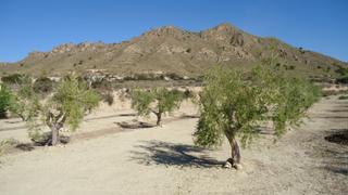 Terreno residencial en N/a