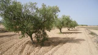 Residential Plot in N/a