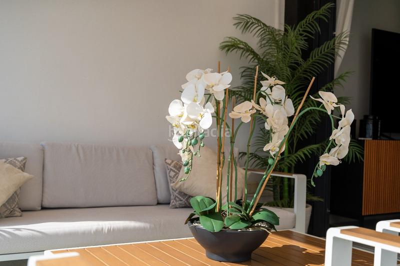 Foto 54cfda39-17b5-4b0a-9322-1c4772a863a0. Dachwohnung in n/a in Villamartín-Las Filipinas Orihuela