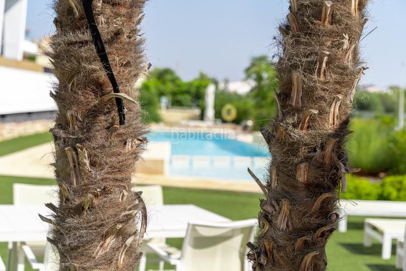 Foto efab2a6d-4de0-49a8-b778-826e86911988. Dachwohnung in n/a in Villamartín-Las Filipinas Orihuela