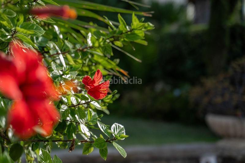 Foto 990fb005-beaf-4fe6-a881-0394c6564d2c. Casa a n/a a Vistahermosa Alicante