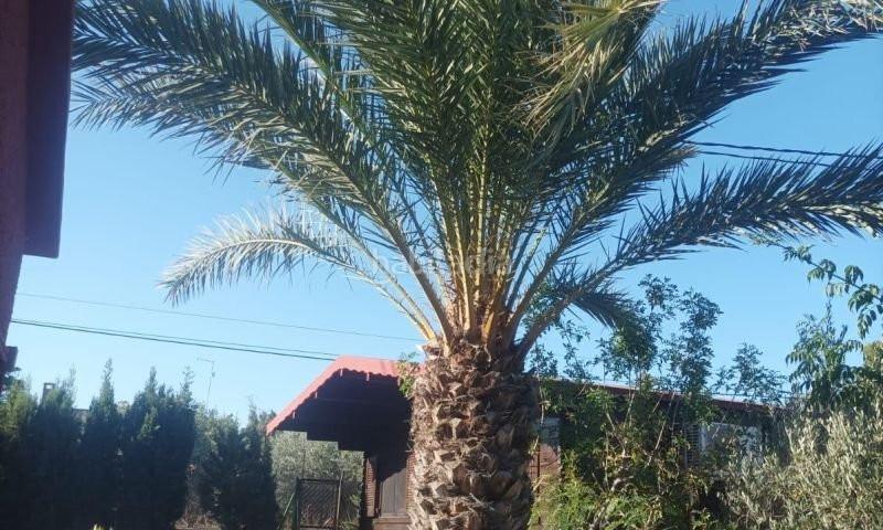 Foto e0ffb7d0-3a75-4a40-819d-9981aeba4324. Casa en n/a en Carrús Oeste Elche / Elx