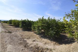 Residential Plot in N/a