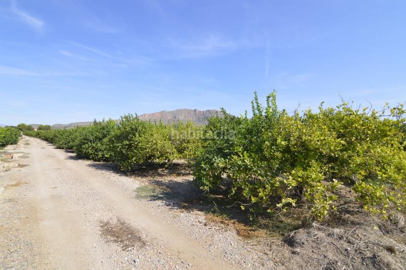 Foto 4e7a7ee6-6bb8-43d1-8082-e22ec55e316b. Terrain résidentiel dans n/a dans Santomera