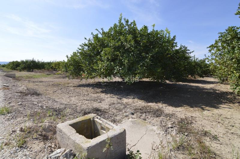 Foto 70ce983b-aa89-453a-8242-3e878da6ee16. Terrain résidentiel dans n/a dans Santomera