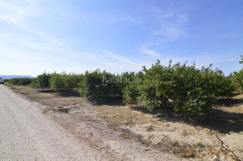 Foto 84aefca0-fc8e-4461-8523-c8bb5c54981f. Terrain résidentiel dans n/a dans Santomera