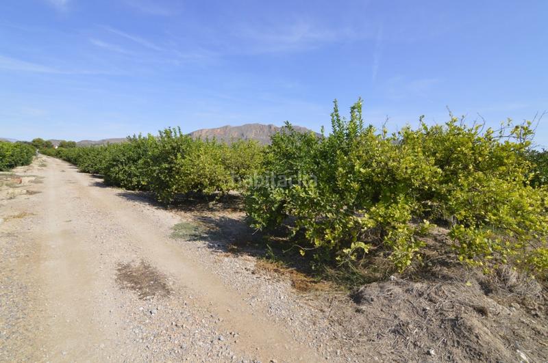 Foto 9c59ecba-8ea8-49a6-a164-b434837f6ff2. Terrain résidentiel dans n/a dans Santomera