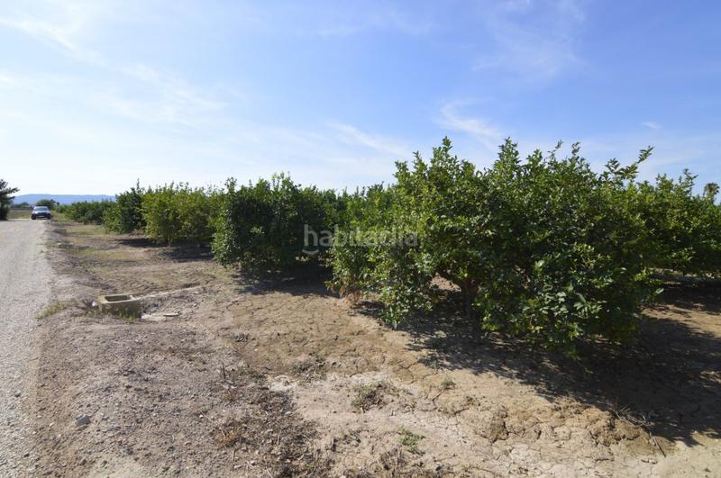 Foto c96fd663-b077-4190-bcbc-fe78d4d1da25. Terrain résidentiel dans n/a dans Santomera