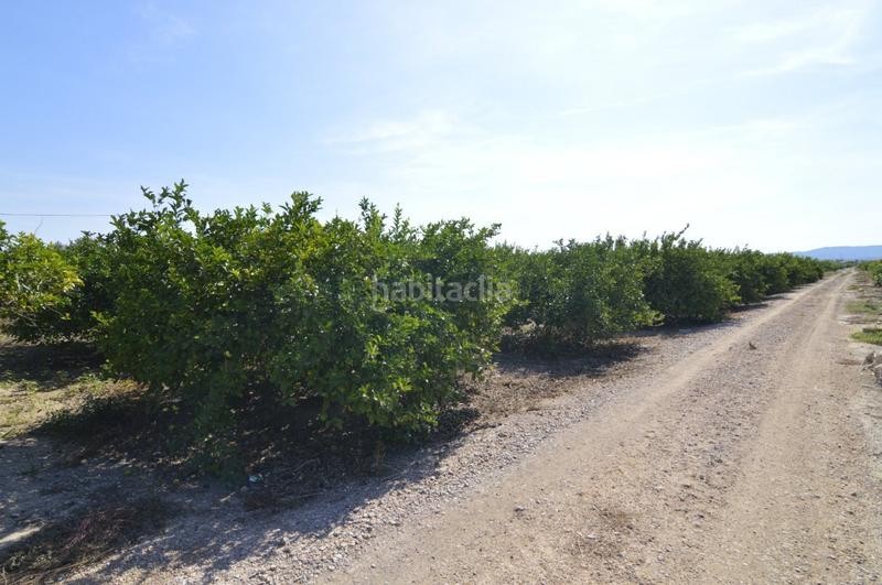 Foto e7eafa01-2960-44cd-a4df-b65742f355d0. Terrain résidentiel dans n/a dans Santomera