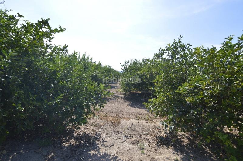 Foto ec5aa566-7cdd-4017-b903-799c26446aba. Terrain résidentiel dans n/a dans Santomera