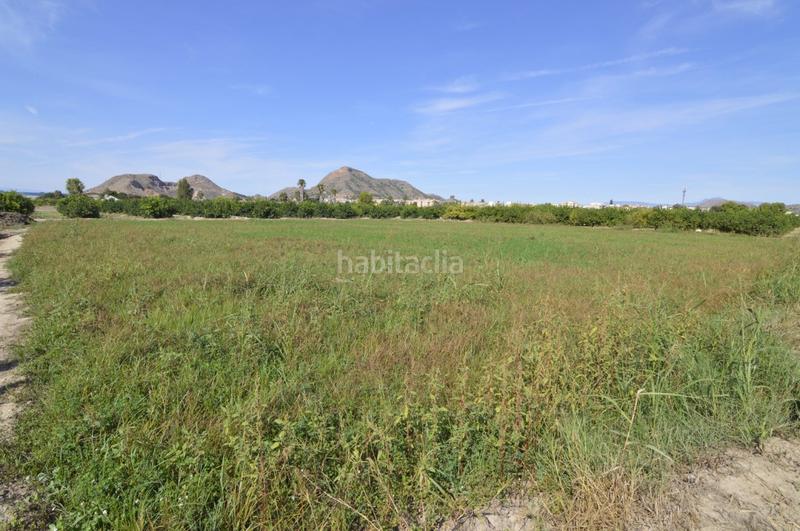 Foto f8848656-5564-4b8a-9902-6d9e401e6bd8. Terrain résidentiel dans n/a dans Santomera