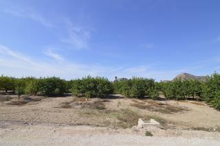 Residential Plot in N/a