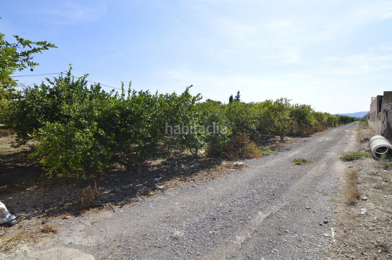 Foto 6dc6b8e9-4828-4f24-af47-d1902eb80c20. Wohngrundstück in n/a in Santomera