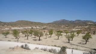 Terreno residencial en N/a