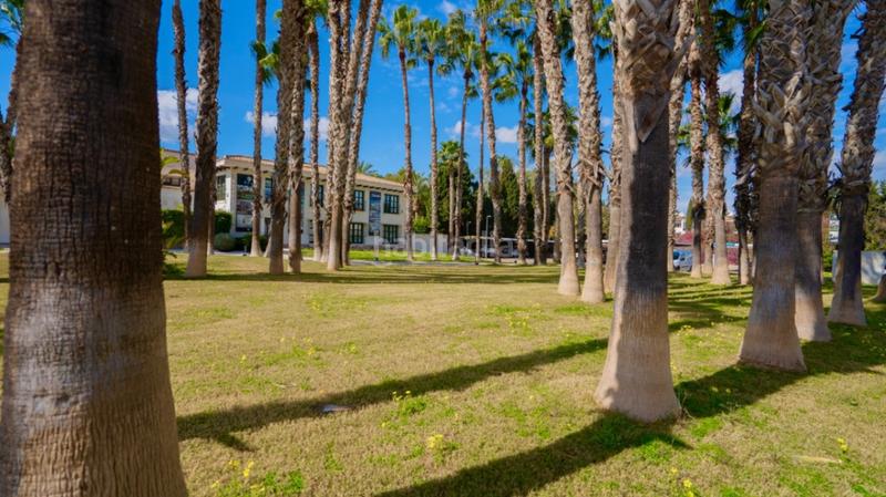 Foto de3a495f-2222-4352-82db-aee745599e5b. Apartamento en n/a en Villamartín-Las Filipinas Orihuela