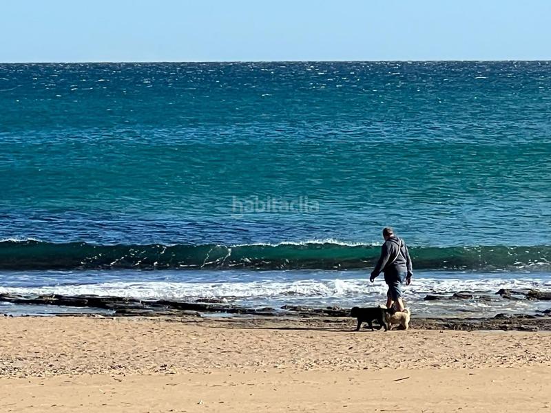 Foto 389dc743-be9f-4368-9d52-a00d9b986574. Mas dans n/a dans Los Europeos Torrevieja