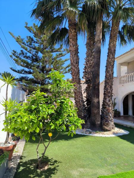 Foto de7d8c5c-1712-47a7-9cd3-107ba7e55b26. Country house in n/a in La Regia Orihuela