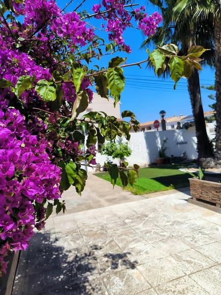 Foto efa1ccd0-265a-450d-9f57-a65b2dcfefc6. Country house in n/a in La Regia Orihuela