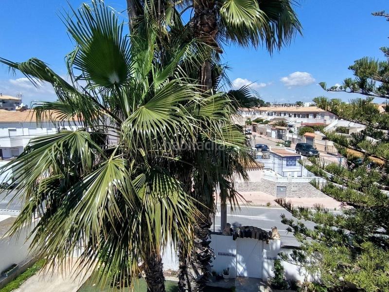 Foto 2caa4d7d-aef9-47c2-9d54-5d8498089a8b. Masia a n/a a La Regia Orihuela