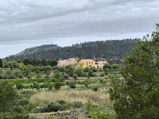 Masia  N/a