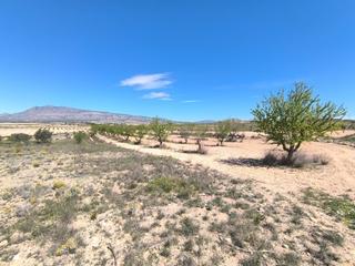 Terreno residencial en N/a
